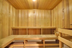 Electra - sauna        